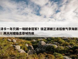 泽卡一年只踢一场就拿冠军？徐正源被三杀后撒气李海新！两大川媒指出蓉城伤痕