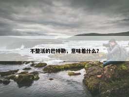 不整活的巴特勒，意味着什么？