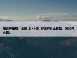 魔兽怀旧服：金团_DKP团_野团有什么区别，该如何选择？