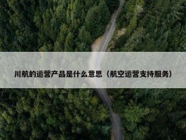 川航的运营产品是什么意思（航空运营支持服务）