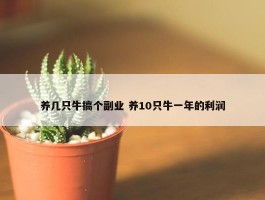 养几只牛搞个副业 养10只牛一年的利润