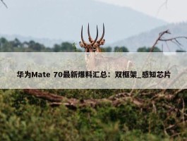 华为Mate 70最新爆料汇总：双框架_感知芯片