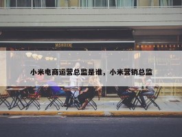 小米电商运营总监是谁，小米营销总监