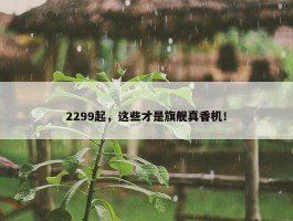 2299起，这些才是旗舰真香机！