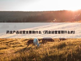 药企产品运营主要做什么（药企运营是做什么的）