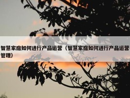 智慧家庭如何进行产品运营（智慧家庭如何进行产品运营管理）