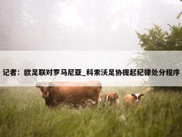 记者：欧足联对罗马尼亚_科索沃足协提起纪律处分程序