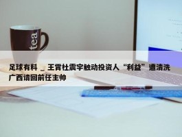 足球有料 _ 王霄杜震宇触动投资人“利益”遭清洗 广西请回前任主帅