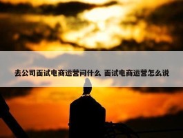 去公司面试电商运营问什么 面试电商运营怎么说