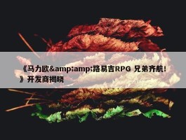 《马力欧&amp;路易吉RPG 兄弟齐航！》开发商揭晓