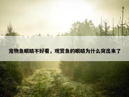 宠物鱼眼睛不好看，观赏鱼的眼睛为什么突出来了