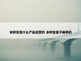 余利宝是什么产品运营的 余利宝是干嘛用的