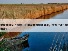 中超争冠又“反转”！申花被保级队逼平，榜首“让”给海港！