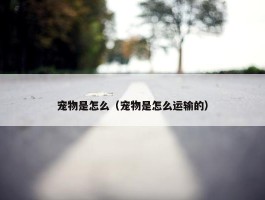 宠物是怎么（宠物是怎么运输的）