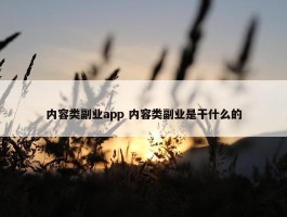 内容类副业app 内容类副业是干什么的