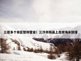 三亚多个景区暂停营业！三沙市路面上出现海水倒灌