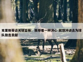 克里斯蒂谈关键篮板：我带着一种决心 就想冲进去为球队做出贡献