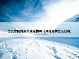 怎么才能得到灵魂宠物呢（灵魂宠物怎么获得）