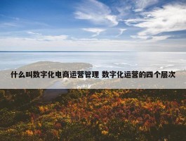 什么叫数字化电商运营管理 数字化运营的四个层次