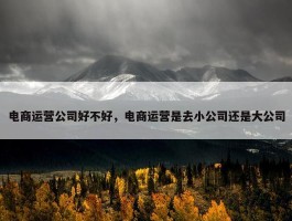 电商运营公司好不好，电商运营是去小公司还是大公司