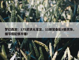 梦幻西游：175武状元龙宫，11锻装备配8锻灵饰，细节搭配很不错！