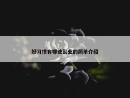 好习惯有哪些副业的简单介绍