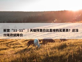 解套“11·11”｜天猫预售价比直接购买更贵？还没付尾款就降价