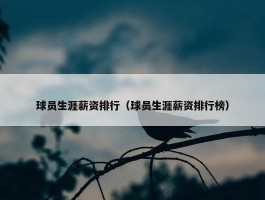 球员生涯薪资排行（球员生涯薪资排行榜）