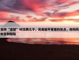 有种“遗憾”叫沈腾儿子，完美避开爸爸的优点，和妈妈如复制粘贴