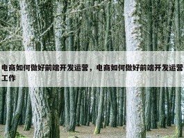 电商如何做好前端开发运营，电商如何做好前端开发运营工作