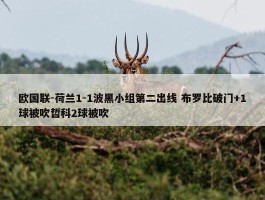 欧国联-荷兰1-1波黑小组第二出线 布罗比破门+1球被吹哲科2球被吹