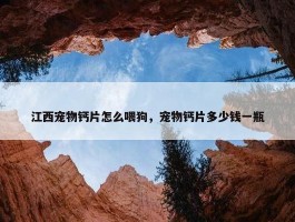 江西宠物钙片怎么喂狗，宠物钙片多少钱一瓶