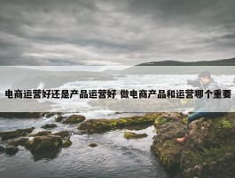 电商运营好还是产品运营好 做电商产品和运营哪个重要