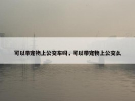 可以带宠物上公交车吗，可以带宠物上公交么