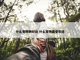 什么宠物物好动 什么宠物最受欢迎