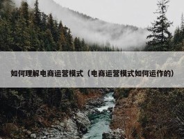 如何理解电商运营模式（电商运营模式如何运作的）