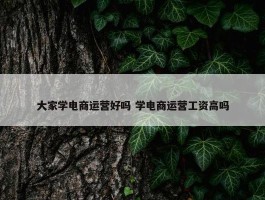 大家学电商运营好吗 学电商运营工资高吗