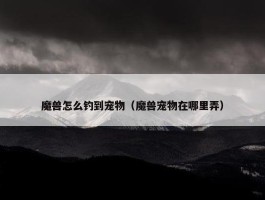 魔兽怎么钓到宠物（魔兽宠物在哪里弄）