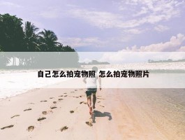 自己怎么拍宠物照 怎么拍宠物照片