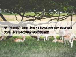 受“贝碧嘉”影响 上海74家A级旅游景区16日暂时关闭，待台风过境后有序恢复运营