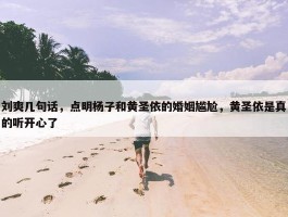 刘爽几句话，点明杨子和黄圣依的婚姻尴尬，黄圣依是真的听开心了