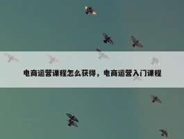 电商运营课程怎么获得，电商运营入门课程