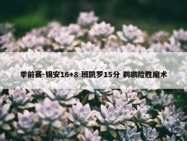 季前赛-锡安16+8 班凯罗15分 鹈鹕险胜魔术