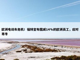 欧洲电动车危机！福特宣布裁减14%的欧洲员工，应对寒冬