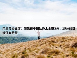 印尼足协主席：如果在中国队身上全取3分，15分的目标还有希望