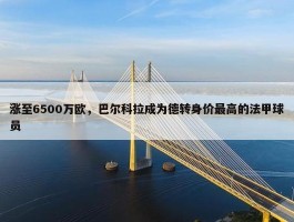 涨至6500万欧，巴尔科拉成为德转身价最高的法甲球员