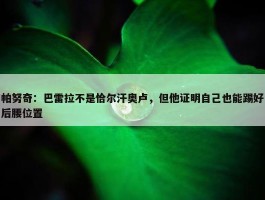 帕努奇：巴雷拉不是恰尔汗奥卢，但他证明自己也能踢好后腰位置