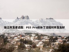 独立开发者透露：PS5 Pro的补丁流程对开发友好