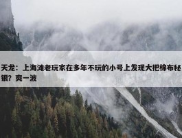 天龙：上海滩老玩家在多年不玩的小号上发现大把棉布秘银？爽一波