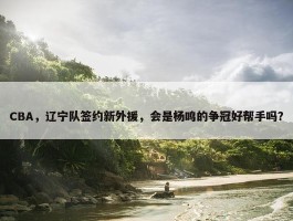 CBA，辽宁队签约新外援，会是杨鸣的争冠好帮手吗？